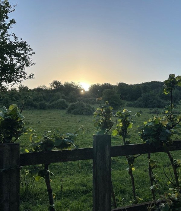 ewshot village morning