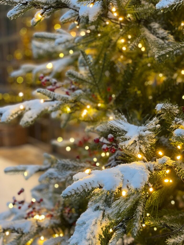 tree, christmas tree, snow, nature, winter, holiday, christmas